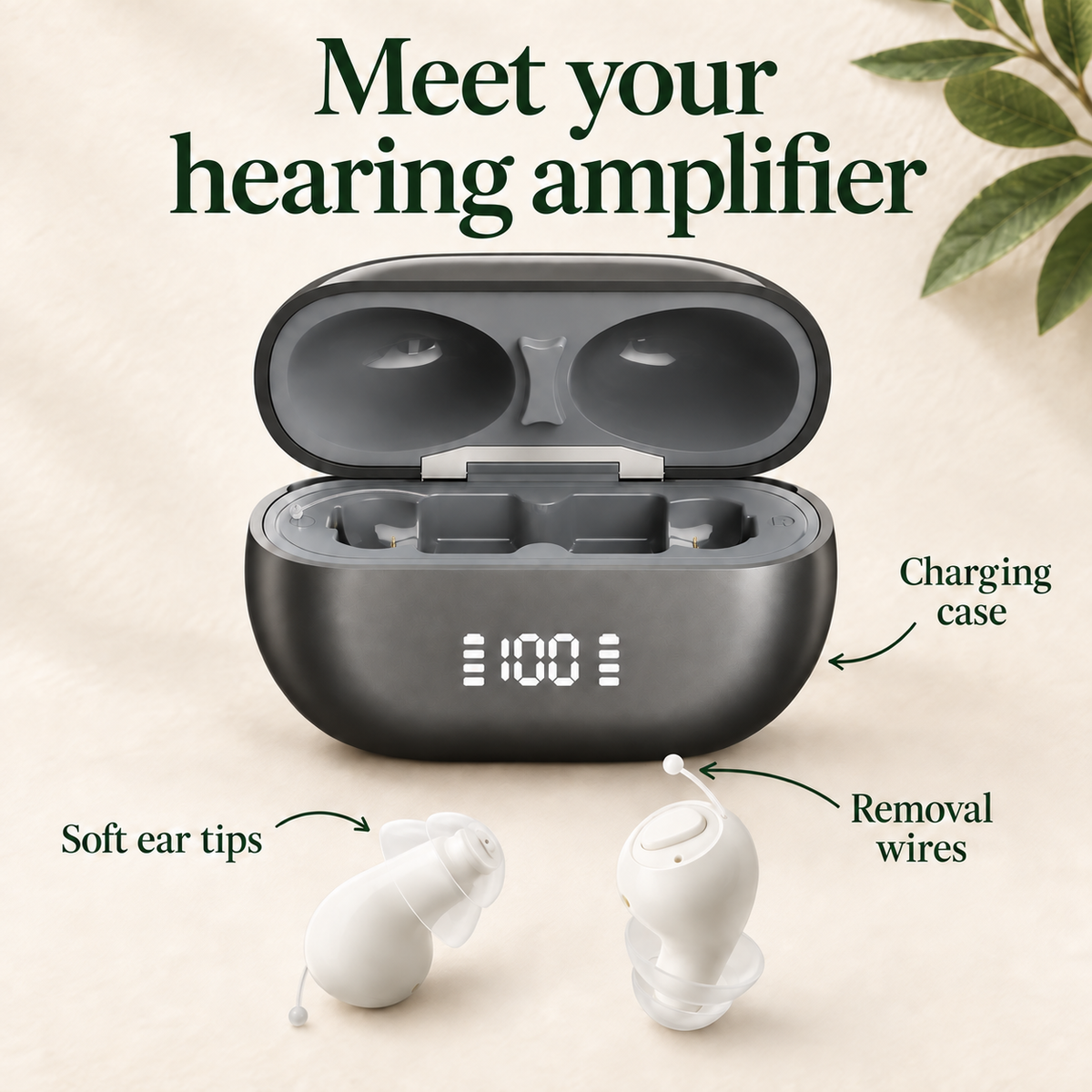 EasyHear Product 2 — product anatomy